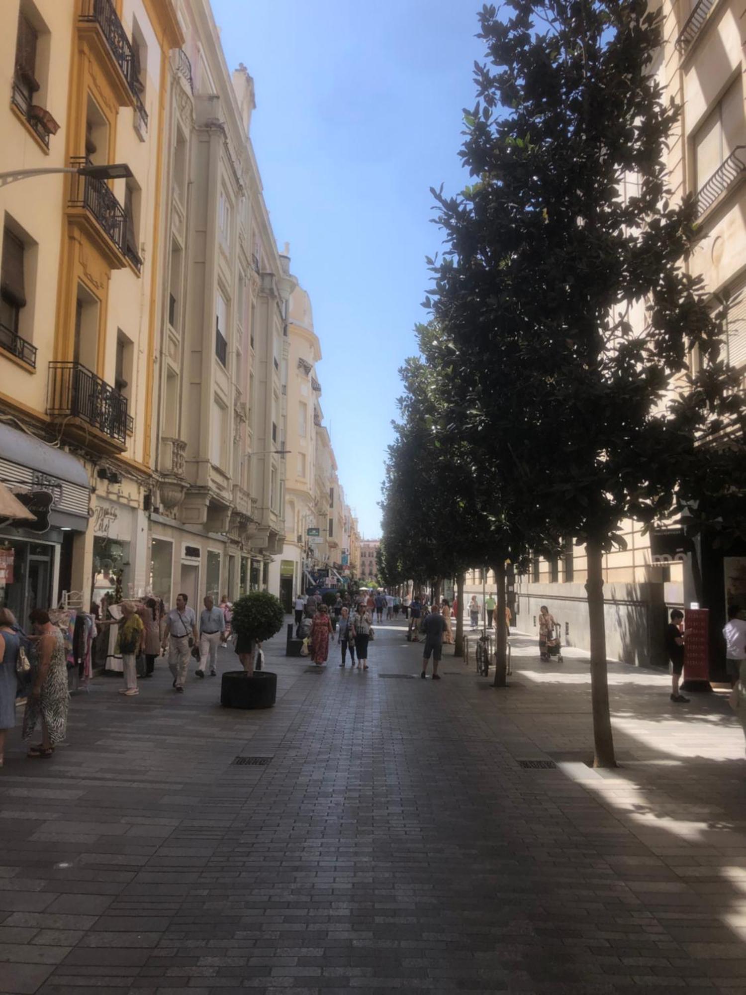 Apartamento En El Centro Totalmente Climatizado, Parking Gratuito Córdoba Eksteriør bilde